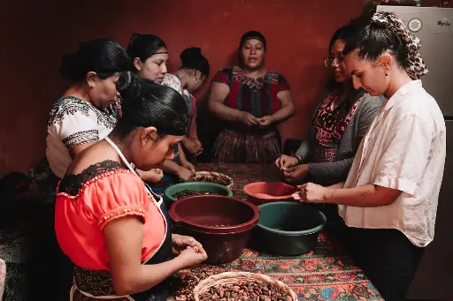 Cacao Production Training